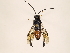 ( - ZMUO.030972)  @11 [ ] CreativeCommons - Attribution Non-Commercial (2018) Marko Mutanen University of Oulu