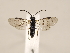  ( - ZMUO.031037)  @14 [ ] CreativeCommons - Attribution Non-Commercial (2018) Marko Mutanen University of Oulu