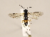  ( - ZMUO.031069)  @13 [ ] CreativeCommons - Attribution Non-Commercial (2018) Marko Mutanen University of Oulu