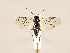  ( - ZMUO.031077)  @13 [ ] CreativeCommons - Attribution Non-Commercial (2018) Marko Mutanen University of Oulu