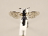  ( - ZMUO.031081)  @14 [ ] CreativeCommons - Attribution Non-Commercial (2018) Marko Mutanen University of Oulu