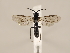  ( - ZMUO.031087)  @14 [ ] CreativeCommons - Attribution Non-Commercial (2018) Marko Mutanen University of Oulu