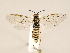  ( - ZMUO.031096)  @13 [ ] CreativeCommons - Attribution Non-Commercial (2018) Marko Mutanen University of Oulu