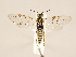  ( - ZMUO.031098)  @11 [ ] CreativeCommons - Attribution Non-Commercial (2018) Marko Mutanen University of Oulu