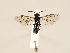  ( - ZMUO.031157)  @12 [ ] CreativeCommons - Attribution Non-Commercial (2018) Marko Mutanen University of Oulu