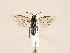  ( - ZMUO.031159)  @12 [ ] CreativeCommons - Attribution Non-Commercial (2018) Marko Mutanen University of Oulu
