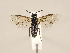 ( - ZMUO.031163)  @12 [ ] CreativeCommons - Attribution Non-Commercial (2018) Marko Mutanen University of Oulu