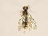  ( - ZMUO.031244)  @12 [ ] CreativeCommons - Attribution Non-Commercial (2018) Marko Mutanen University of Oulu