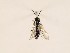  ( - ZMUO.031252)  @11 [ ] CreativeCommons - Attribution Non-Commercial (2018) Marko Mutanen University of Oulu