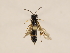  ( - ZMUO.031259)  @13 [ ] CreativeCommons - Attribution Non-Commercial (2018) Marko Mutanen University of Oulu