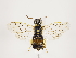 ( - ZMUO.031331)  @13 [ ] CreativeCommons - Attribution Non-Commercial (2018) Marko Mutanen University of Oulu