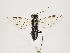  ( - ZMUO.031334)  @11 [ ] CreativeCommons - Attribution Non-Commercial (2018) Marko Mutanen University of Oulu