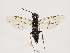  ( - ZMUO.031401)  @12 [ ] CreativeCommons - Attribution Non-Commercial (2018) Marko Mutanen University of Oulu