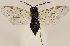  ( - ZMUO.031404)  @11 [ ] CreativeCommons - Attribution Non-Commercial (2018) Marko Mutanen University of Oulu