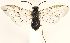  ( - ZMUO.031439)  @13 [ ] CreativeCommons - Attribution Non-Commercial (2018) Marko Mutanen University of Oulu