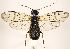  ( - ZMUO.031483)  @12 [ ] CreativeCommons - Attribution Non-Commercial (2018) Marko Mutanen University of Oulu