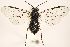  ( - ZMUO.031544)  @12 [ ] CreativeCommons - Attribution Non-Commercial (2018) Marko Mutanen University of Oulu