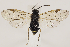  ( - ZMUO.031891)  @13 [ ] CreativeCommons - Attribution Non-Commercial (2018) Marko Mutanen University of Oulu