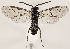  ( - ZMUO.031896)  @12 [ ] CreativeCommons - Attribution Non-Commercial (2018) Marko Mutanen University of Oulu
