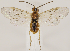  ( - ZMUO.031910)  @13 [ ] CreativeCommons - Attribution Non-Commercial (2018) Marko Mutanen University of Oulu