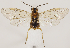  ( - ZMUO.031911)  @13 [ ] CreativeCommons - Attribution Non-Commercial (2018) Marko Mutanen University of Oulu