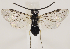  ( - ZMUO.031924)  @15 [ ] CreativeCommons - Attribution Non-Commercial (2018) Marko Mutanen University of Oulu