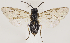  ( - ZMUO.031963)  @12 [ ] CreativeCommons - Attribution Non-Commercial (2018) Marko Mutanen University of Oulu
