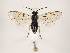  ( - ZMUO.032024)  @13 [ ] CreativeCommons - Attribution Non-Commercial (2018) Marko Mutanen University of Oulu