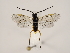  ( - ZMUO.032045)  @13 [ ] CreativeCommons - Attribution Non-Commercial (2018) Marko Mutanen University of Oulu