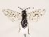  ( - ZMUO.032081)  @12 [ ] CreativeCommons - Attribution Non-Commercial (2018) Marko Mutanen University of Oulu