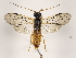  ( - ZMUO.032084)  @13 [ ] CreativeCommons - Attribution Non-Commercial (2018) Marko Mutanen University of Oulu