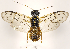  ( - ZMUO.032085)  @11 [ ] CreativeCommons - Attribution Non-Commercial (2018) Marko Mutanen University of Oulu