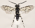  ( - ZMUO.032096)  @12 [ ] CreativeCommons - Attribution Non-Commercial (2018) Marko Mutanen University of Oulu