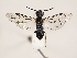  ( - ZMUO.032097)  @12 [ ] CreativeCommons - Attribution Non-Commercial (2018) Marko Mutanen University of Oulu