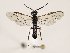  ( - ZMUO.032098)  @13 [ ] CreativeCommons - Attribution Non-Commercial (2018) Marko Mutanen University of Oulu
