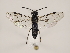  ( - ZMUO.032113)  @12 [ ] CreativeCommons - Attribution Non-Commercial (2018) Marko Mutanen University of Oulu