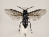 ( - ZMUO.032121)  @12 [ ] CreativeCommons - Attribution Non-Commercial (2018) Marko Mutanen University of Oulu