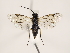  ( - ZMUO.032122)  @13 [ ] CreativeCommons - Attribution Non-Commercial (2018) Marko Mutanen University of Oulu
