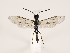  ( - ZMUO.032130)  @11 [ ] CreativeCommons - Attribution Non-Commercial (2018) Marko Mutanen University of Oulu