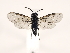 ( - ZMUO.032131)  @13 [ ] CreativeCommons - Attribution Non-Commercial (2018) Marko Mutanen University of Oulu