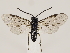  ( - ZMUO.032161)  @15 [ ] CreativeCommons - Attribution Non-Commercial (2018) Marko Mutanen University of Oulu