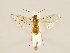  ( - ZMUO.032172)  @13 [ ] CreativeCommons - Attribution Non-Commercial (2018) Marko Mutanen University of Oulu