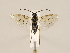  ( - ZMUO.032199)  @11 [ ] CreativeCommons - Attribution Non-Commercial (2018) Marko Mutanen University of Oulu