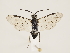  ( - ZMUO.032200)  @12 [ ] CreativeCommons - Attribution Non-Commercial (2018) Marko Mutanen University of Oulu