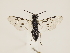  ( - ZMUO.032205)  @12 [ ] CreativeCommons - Attribution Non-Commercial (2018) Marko Mutanen University of Oulu