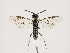  ( - ZMUO.032244)  @14 [ ] CreativeCommons - Attribution Non-Commercial (2018) Marko Mutanen University of Oulu