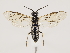  ( - ZMUO.032245)  @13 [ ] CreativeCommons - Attribution Non-Commercial (2018) Marko Mutanen University of Oulu