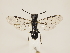  ( - ZMUO.032255)  @12 [ ] CreativeCommons - Attribution Non-Commercial (2018) Marko Mutanen University of Oulu