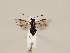  ( - ZMUO.032268)  @13 [ ] CreativeCommons - Attribution Non-Commercial (2018) Marko Mutanen University of Oulu