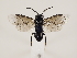  ( - ZMUO.032269)  @13 [ ] CreativeCommons - Attribution Non-Commercial (2018) Marko Mutanen University of Oulu